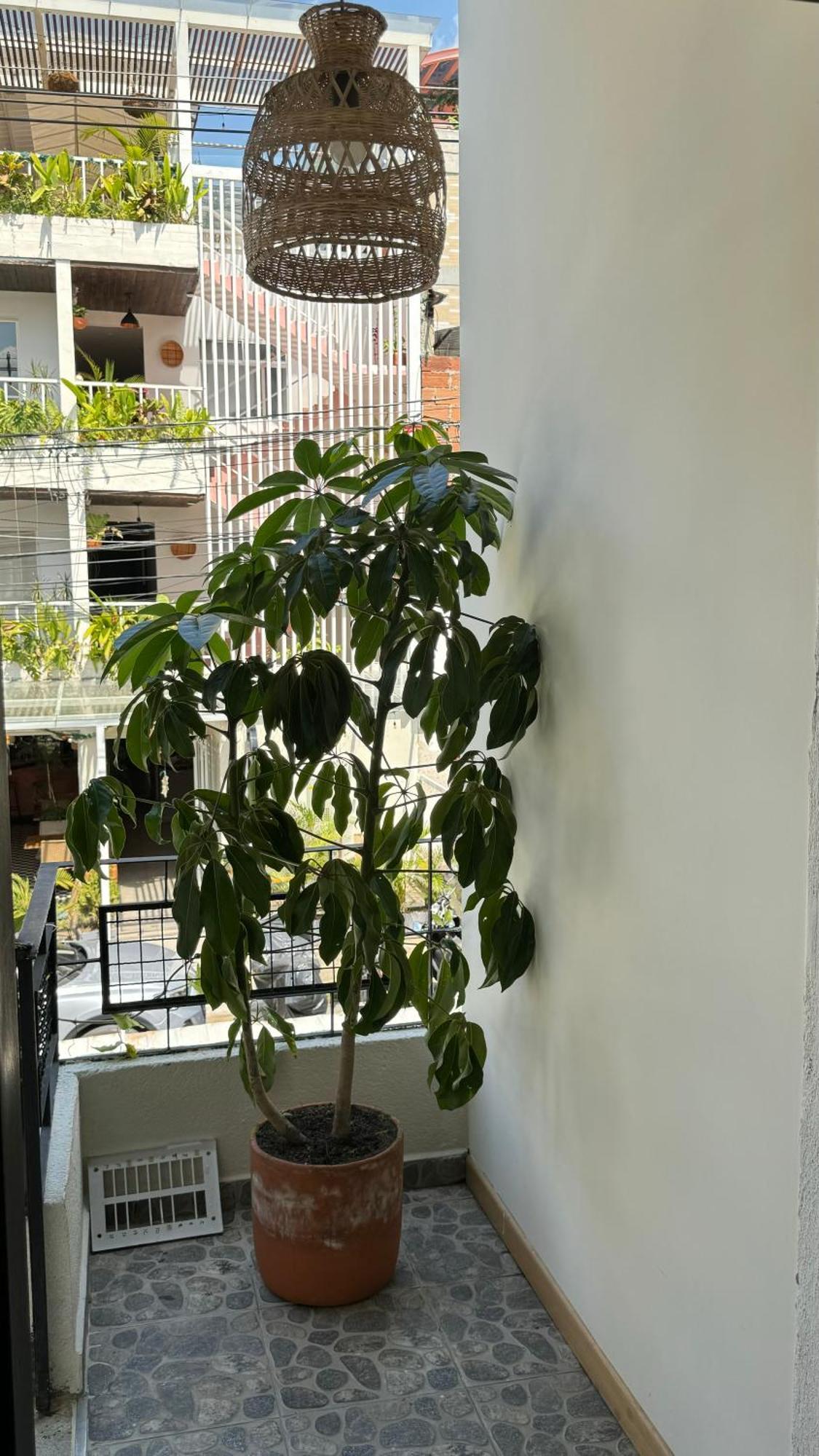 Luum Casa Hotel Manila Medellín Exteriér fotografie